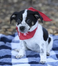 Tuck - Photo 2