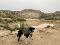Lola - Photo 22