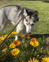 Marlee - Photo 2