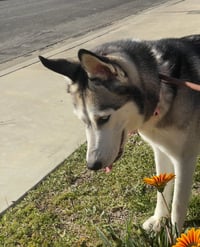 Marlee - Photo 3