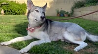 Marlee - Photo 4