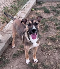 Lucy - Photo 3