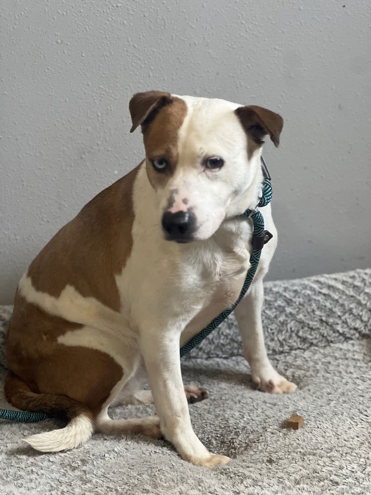 Mama Poppy - Photo 3