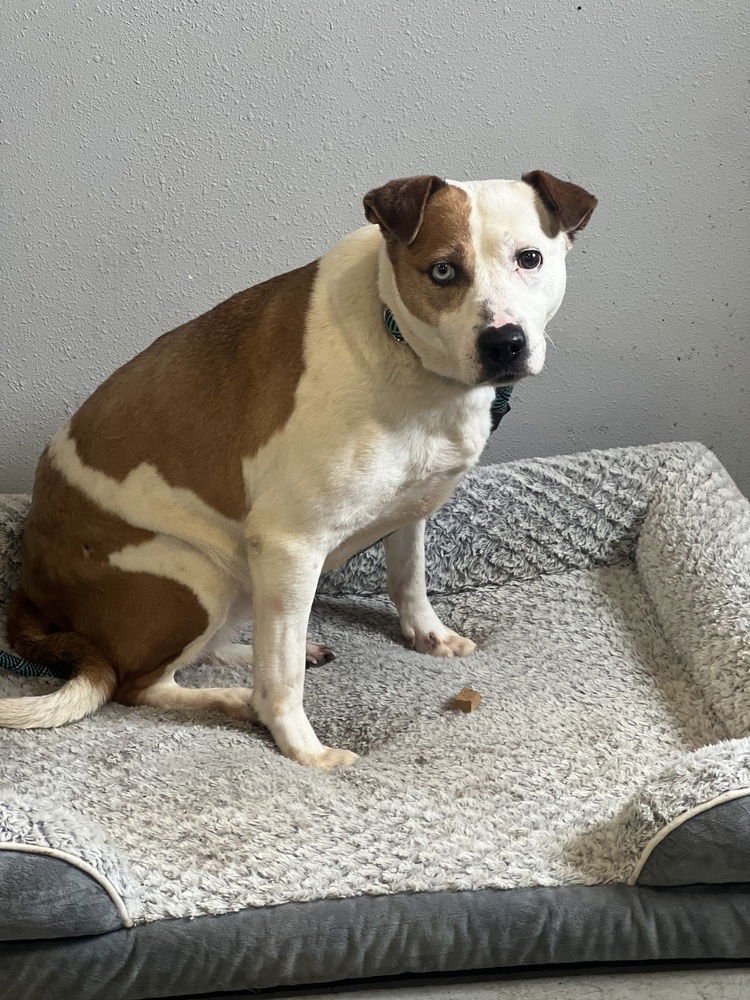 Mama Poppy - Photo 4