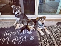 Ava - Photo 10