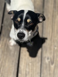 Marco - Photo 2