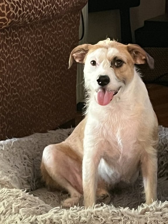 Nicky Image
