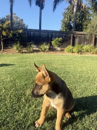 Kooper - Photo 3