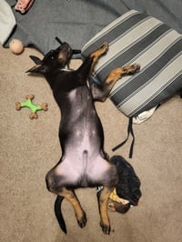 Oliver - Photo 6