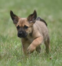 Wynter - Photo 6