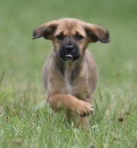 Wynter - Photo 8