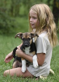 Remi - Photo 1