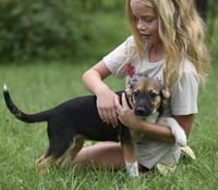 Remi - Photo 11