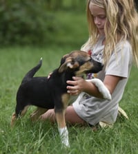 Remi - Photo 10
