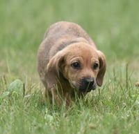 Waylon - Photo 14