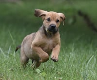 Waylon - Photo 5