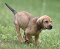 Waylon - Photo 7