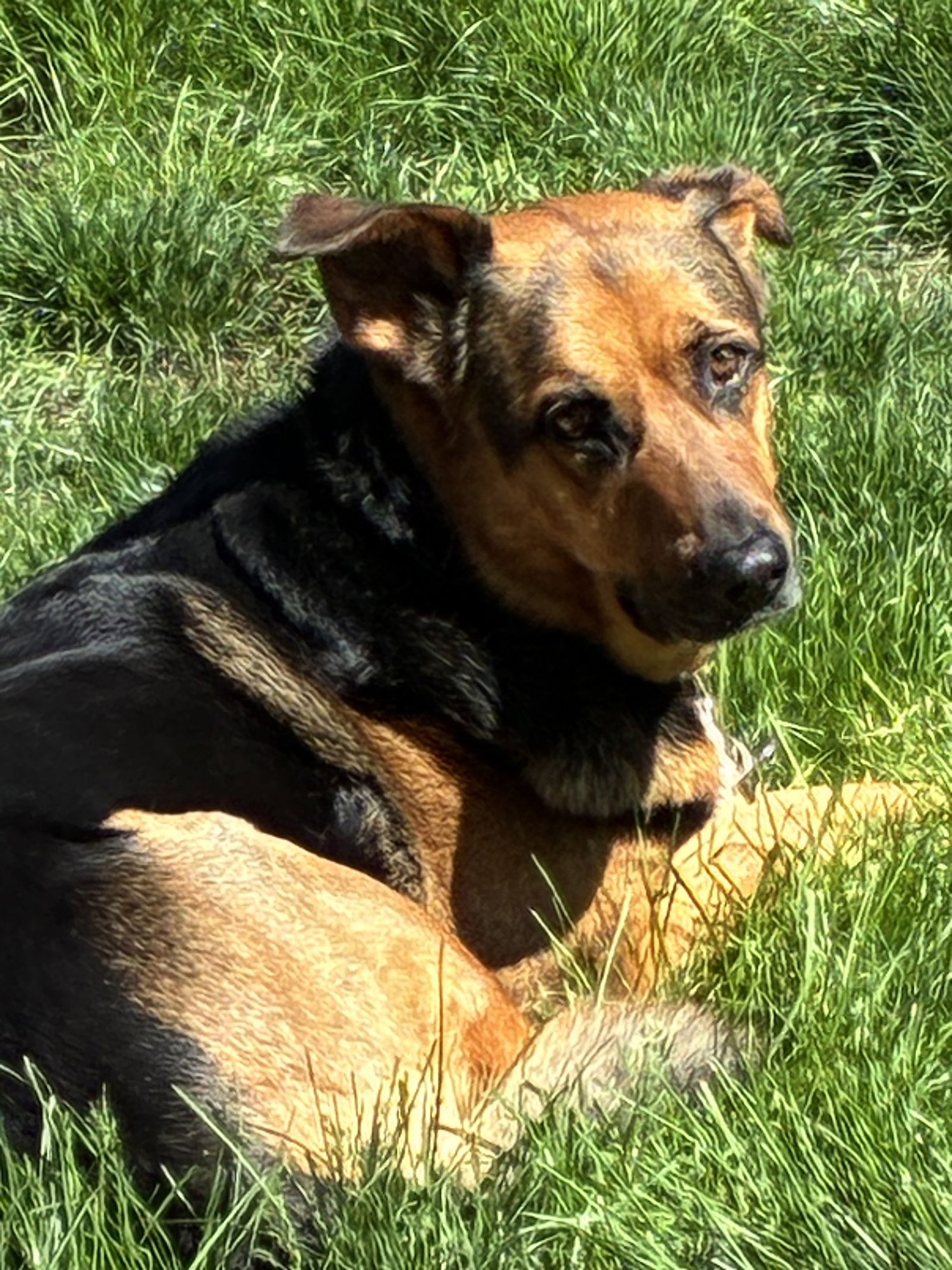 ***LULU*** - Photo 3