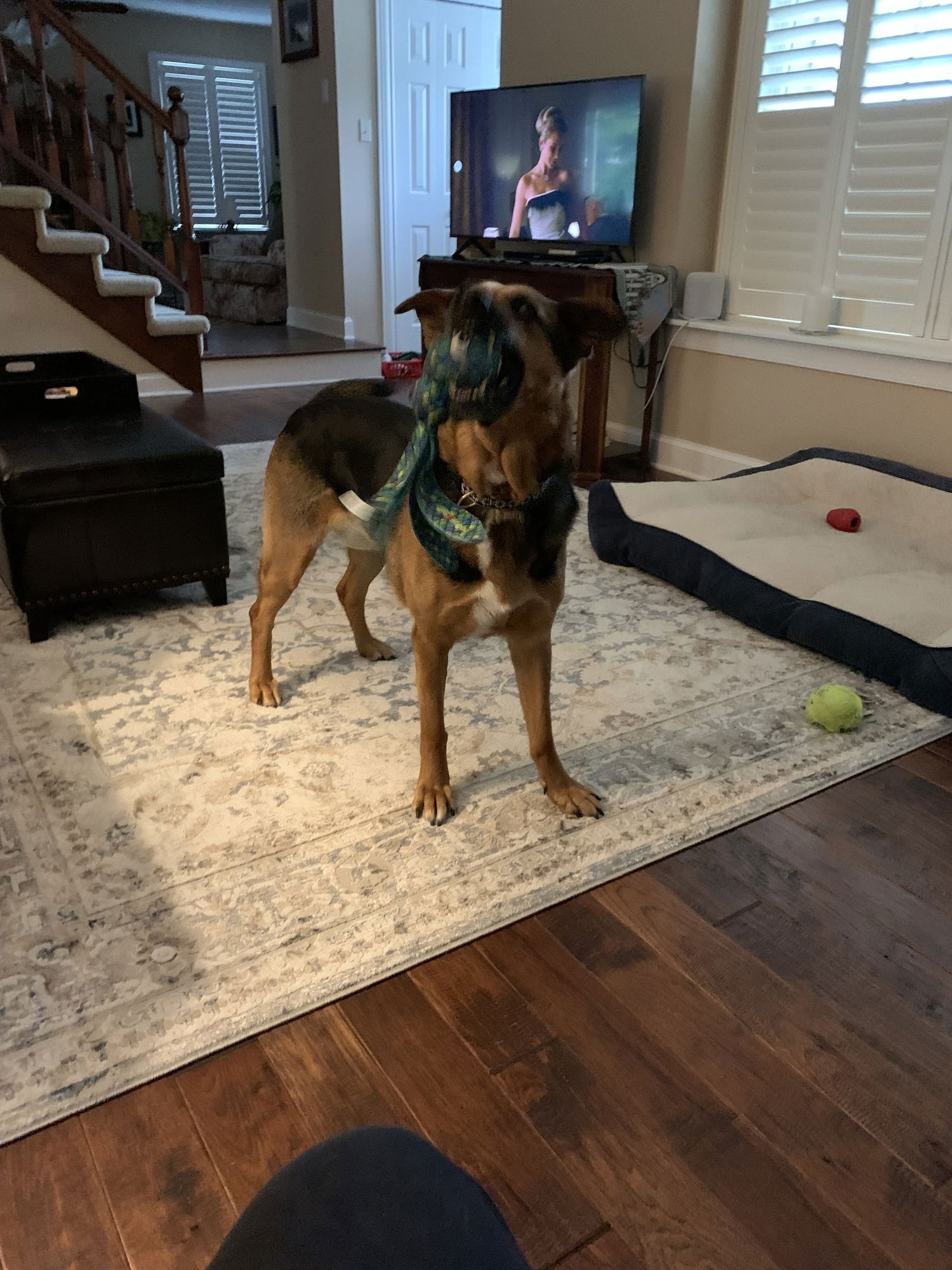 ***LULU*** - Photo 4