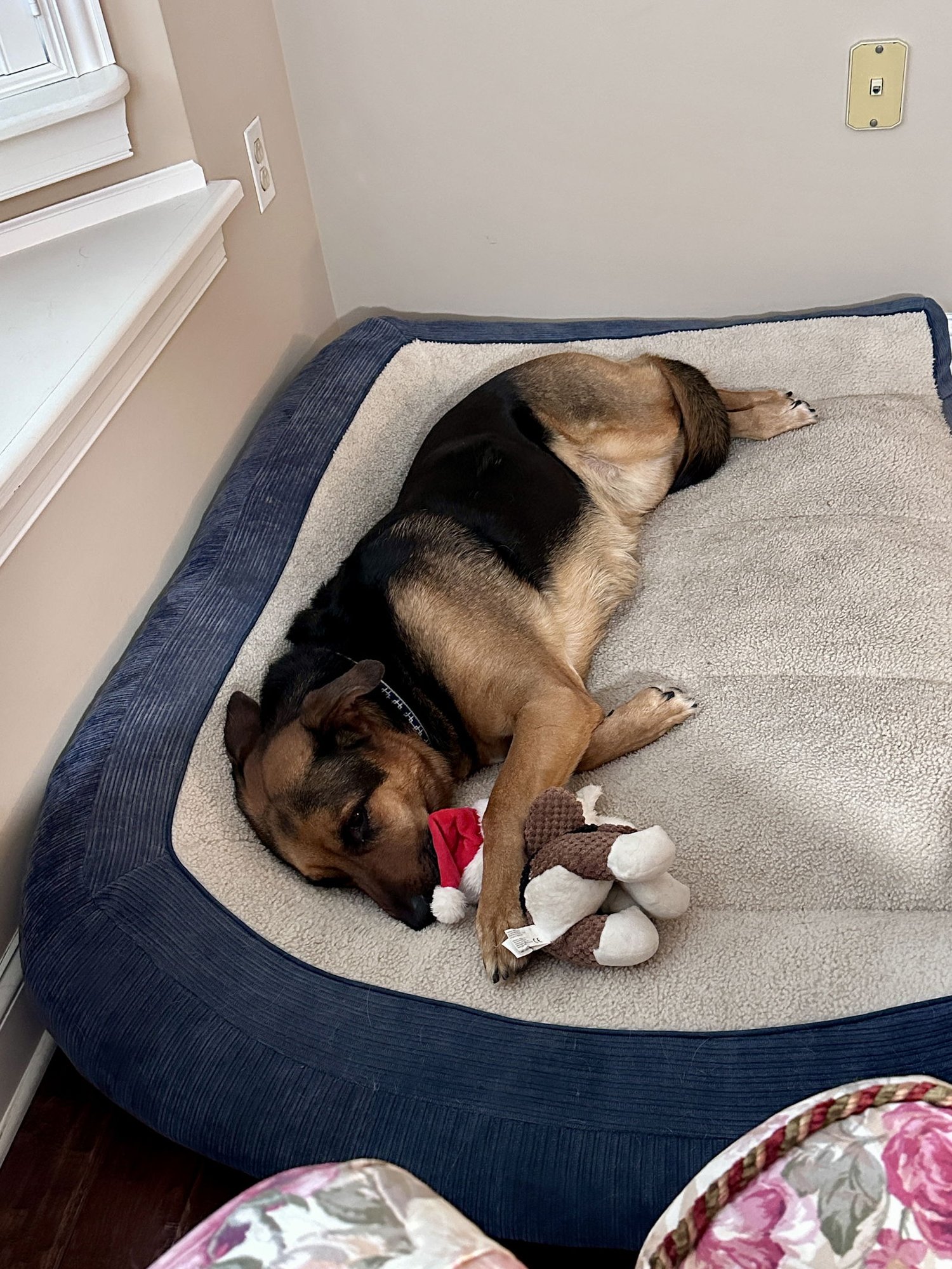 ***LULU*** - Photo 5