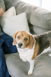 Annie - Photo 2