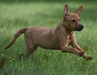 Nyla - Photo 8