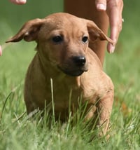 Nyla - Photo 9
