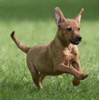 Nyla - Photo 6