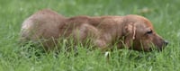 Nyla - Photo 5