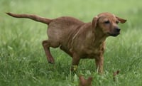 Nyla - Photo 7