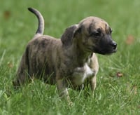 Sully - Photo 4