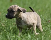 Sully - Photo 7