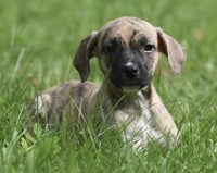 Sully - Photo 5