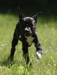 Radar - Photo 1