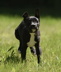 Radar - Photo 2