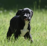 Radar - Photo 5