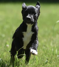 Radar - Photo 8