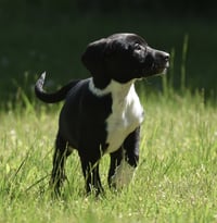 Oakley - Photo 1