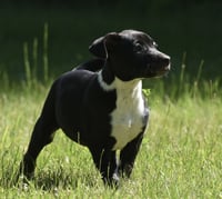 Oakley - Photo 3