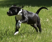 Oakley - Photo 4