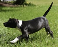 Oakley - Photo 5