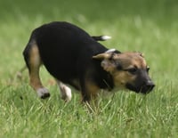 Rylan - Photo 7
