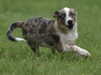 Mandon - Photo 1