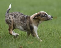 Mandon - Photo 11