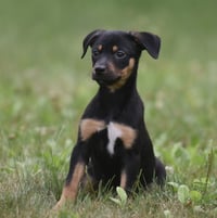 Gina - Photo 1