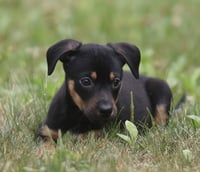 Gina - Photo 3