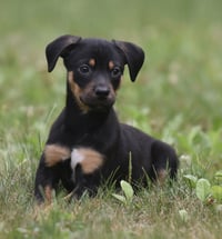 Gina - Photo 4