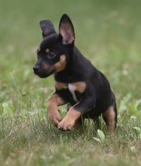 Gina - Photo 7