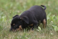 Gina - Photo 8
