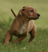 Nelly - Photo 1